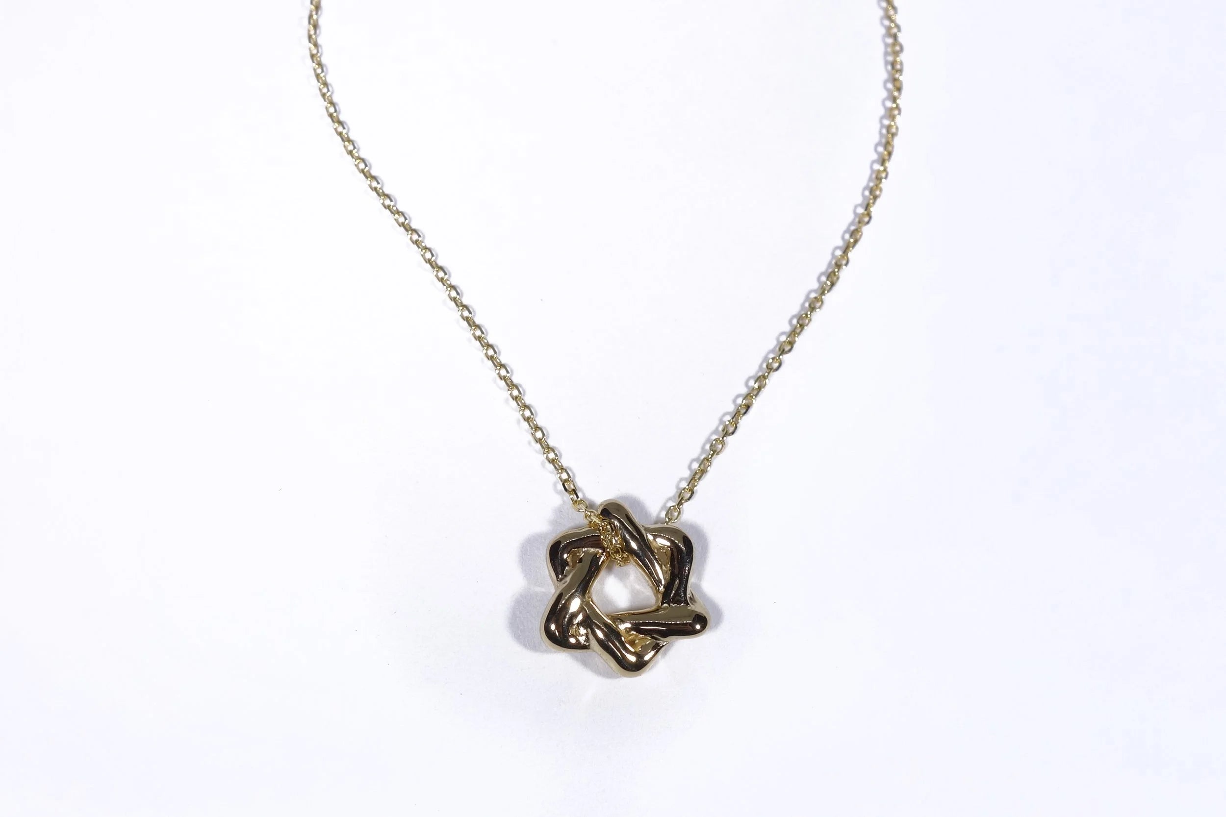 Talisman Fine Jewelry Petite Solomon's Seal Necklace in 14k Recycled Gold