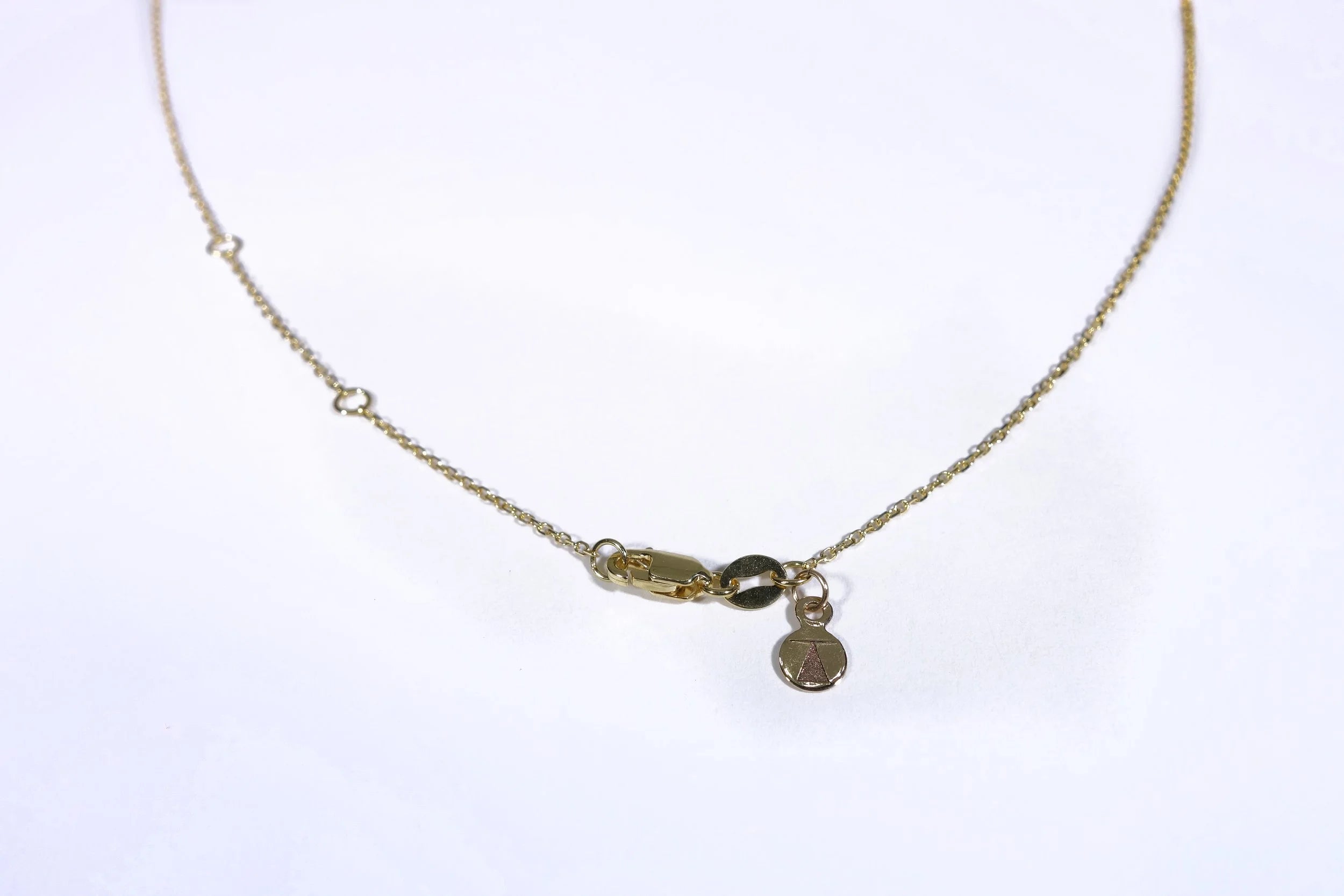 Talisman Fine Jewelry Petite Solomon's Seal Necklace in 14k Recycled Gold