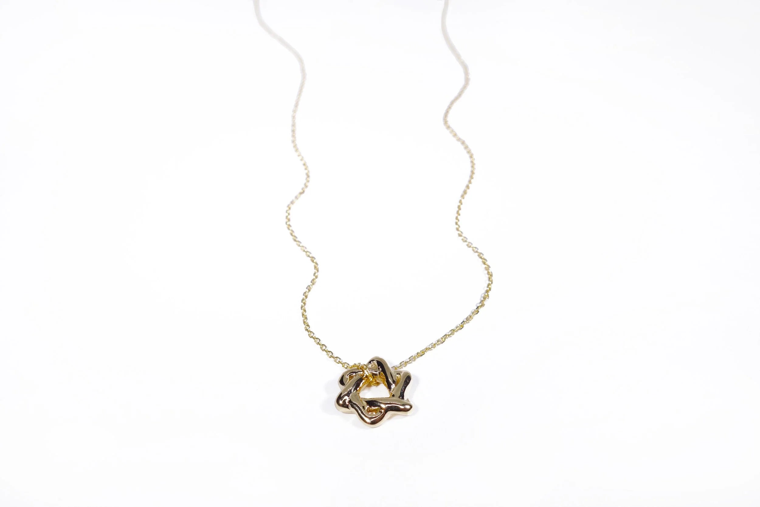 Talisman Fine Jewelry Petite Solomon's Seal Necklace in 14k Recycled Gold